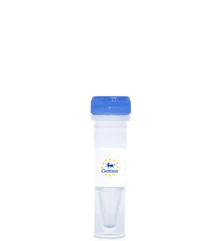 CF®568-Cholera Toxin Subunit B (CTB)